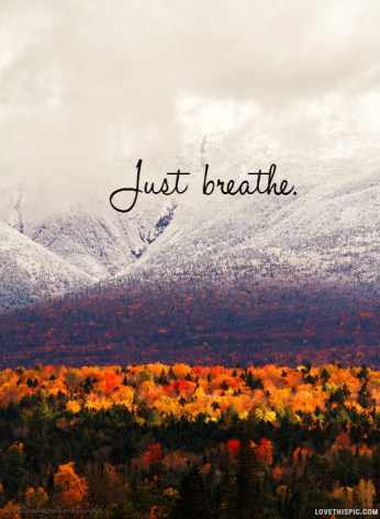 13315-Just-Breathe.png